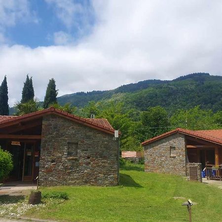 Chalets A 10 Minutes De Foix 메르쿠스 가라베 외부 사진